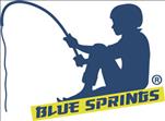 Bluesprings.it - Blue Springs S.r.l